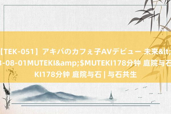 【TEK-051】アキバのカフぇ子AVデビュー 未来</a>2013-08-01MUTEKI&$MUTEKI178分钟 庭院与石 | 与石共生