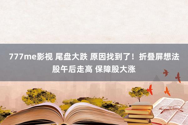 777me影视 尾盘大跌 原因找到了！折叠屏想法股午后走高 保障股大涨