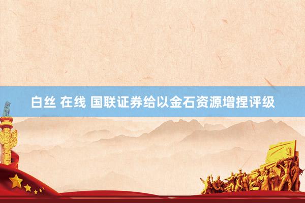 白丝 在线 国联证券给以金石资源增捏评级