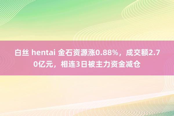 白丝 hentai 金石资源涨0.88%，成交额2.70亿元，相连3日被主力资金减仓