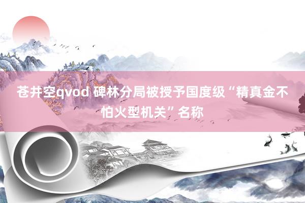 苍井空qvod 碑林分局被授予国度级“精真金不怕火型机关”名称