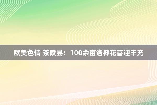 欧美色情 茶陵县：100余亩洛神花喜迎丰充