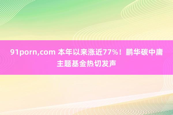 91porn,com 本年以来涨近77%！鹏华碳中庸主题基金