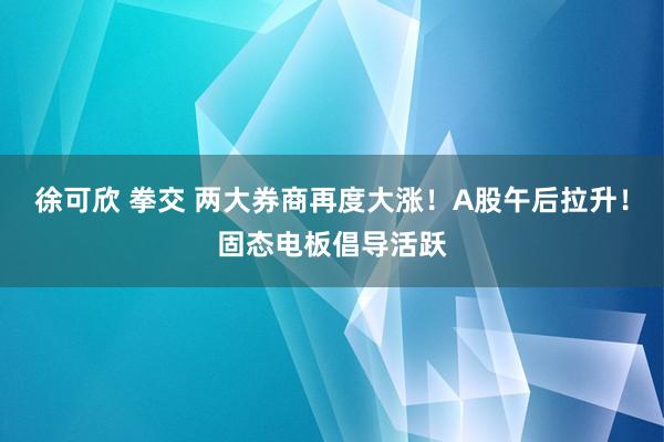 徐可欣 拳交 两大券商再度大涨！A股午后拉升！固态电板倡导活