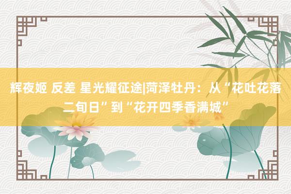 辉夜姬 反差 星光耀征途|菏泽牡丹：从“花吐花落二旬日”到“花开四季香满城”