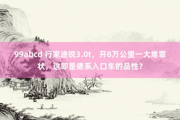 99abcd 行家途锐3.0t，开8万公里一大堆罪状，这即是