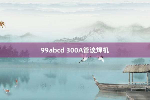 99abcd 300A管谈焊机