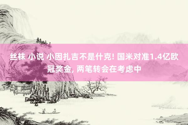 丝袜 小说 小因扎吉不是什克! 国米对准1.4亿欧冠奖金, 